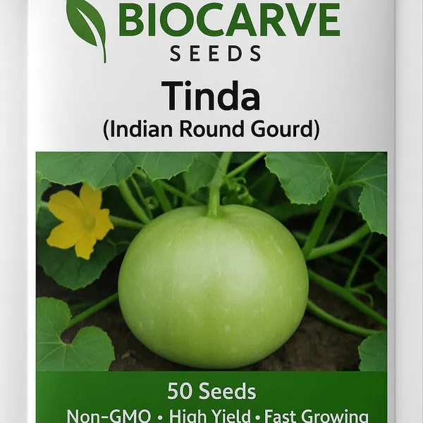 Tinda_Seeds_-_Pack_Of_7