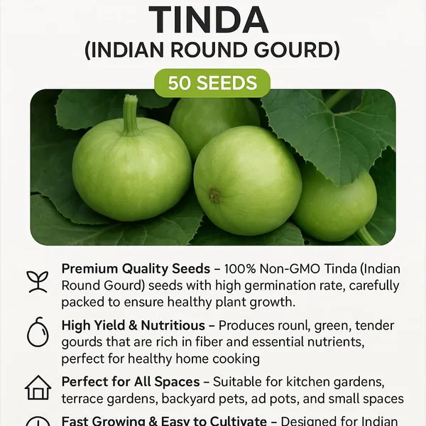 Tinda_Seeds_-_Pack_Of_7