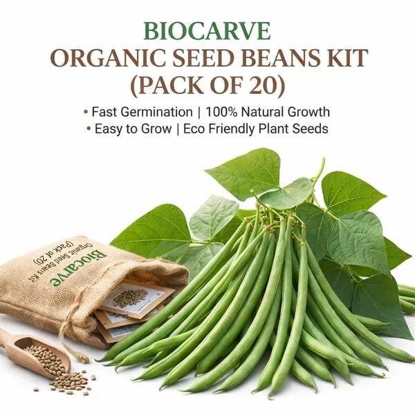 Organic_Seed_Beans_Kit__Pack_Of_5