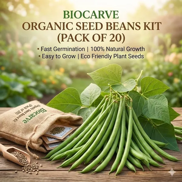 Organic_Seed_Beans_Kit__Pack_Of_5