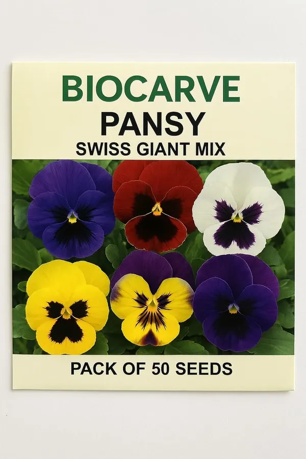 Pack_Of_4_Pansy_Swiss_Giants_Mix__Flower_Seeds