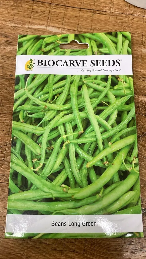 Long_Green_Bean_Seeds_-_Pack_Of_5