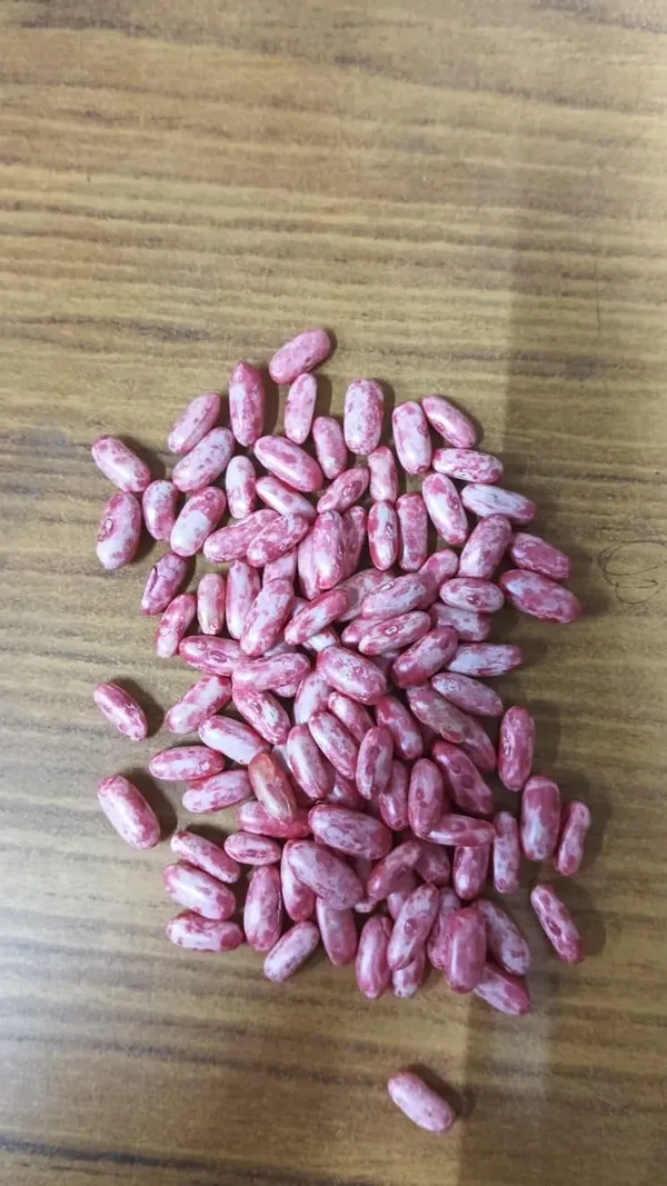 Long_Green_Bean_Seeds_-_Pack_Of_5