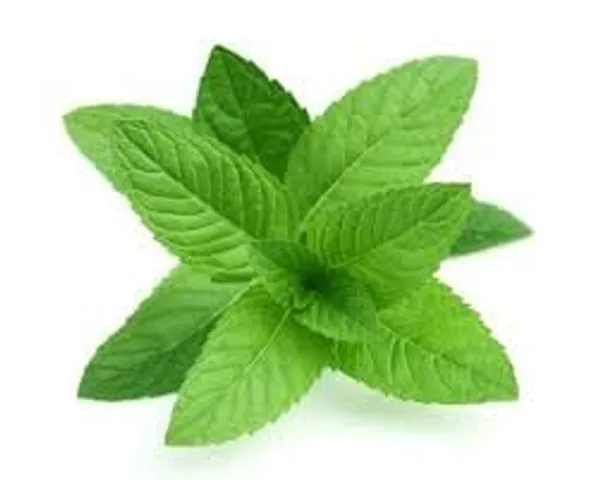 Mint_Seeds_Premium_-_Pack_Of_3
