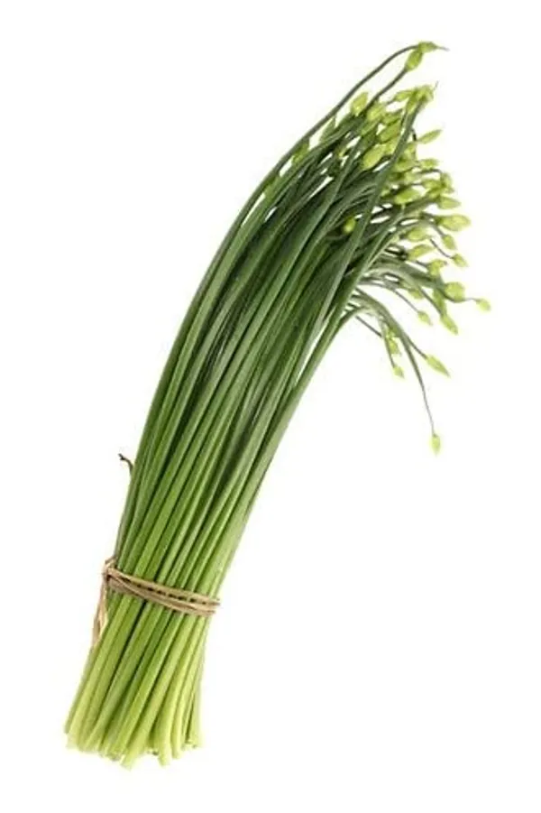 Garlic_Chives_Seeds_-_Pack_Of_3