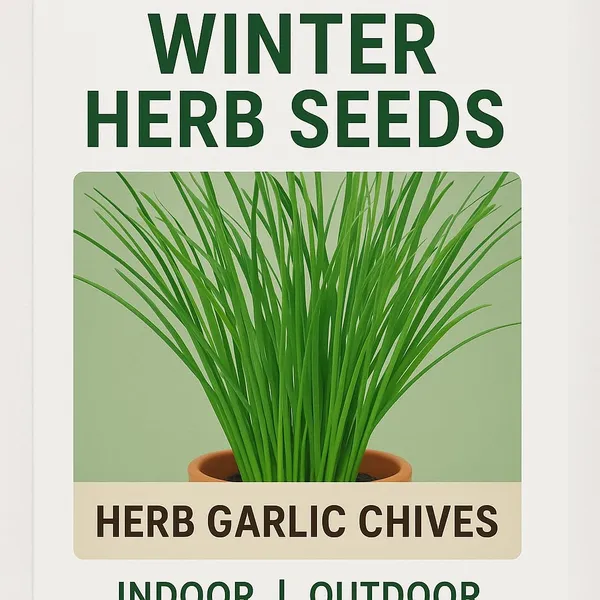 Garlic_Chives_Seeds_-_Pack_Of_3