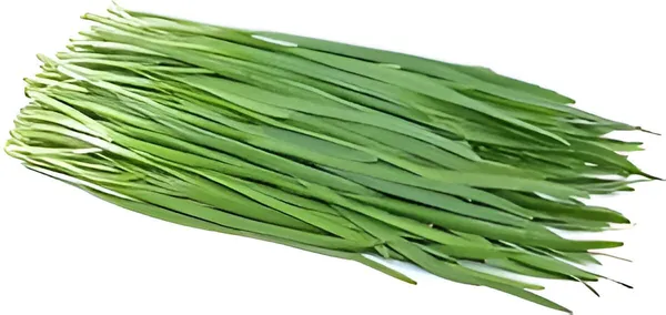 Garlic_Chives_Seeds_-_Pack_Of_3