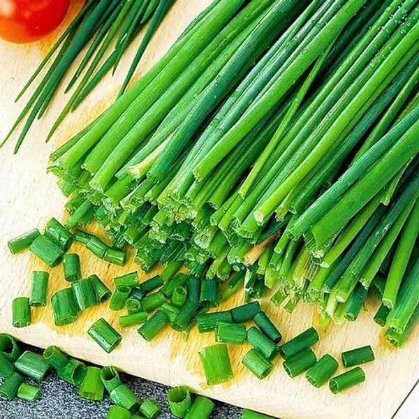 Garlic_Chives_Seeds_-_Pack_Of_3