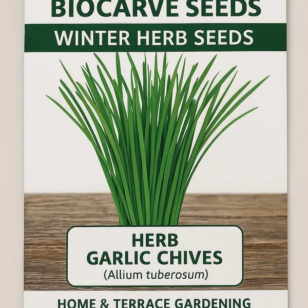 Garlic_Chives_Seeds_-_Pack_Of_3
