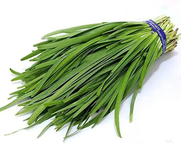 Garlic_Chives_Seeds_-_Pack_Of_3