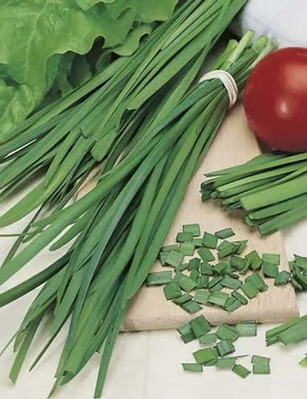 Garlic_Chives_Seeds_-_Pack_Of_3