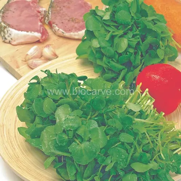 Watercress_Seeds_-_Pack_Of_3