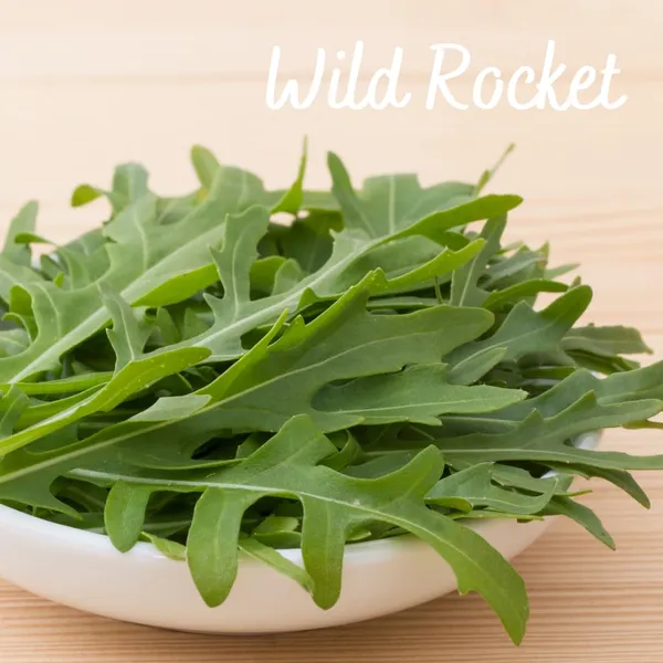 Wild_Rocket_Herb_Seeds__Pack_Of_3