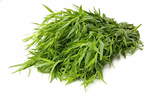 Tarragon_Herb_Seeds_-_Pack_Of_3