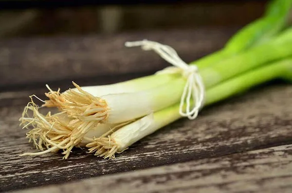 Chive_Seeds_-_Pack_Of_2