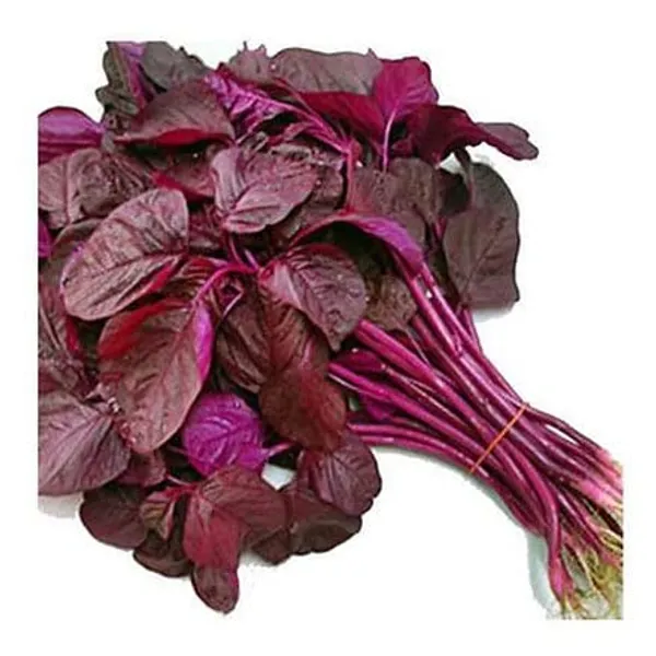 Amaranthus_Herb_Seeds_-_Pack_Of_3