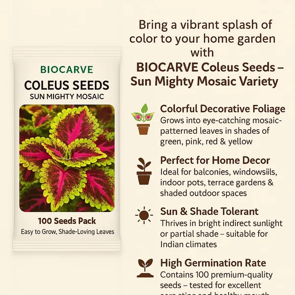 Coleus_Prem_Sun_Mighty_Mosaic_100_Seeds_PL