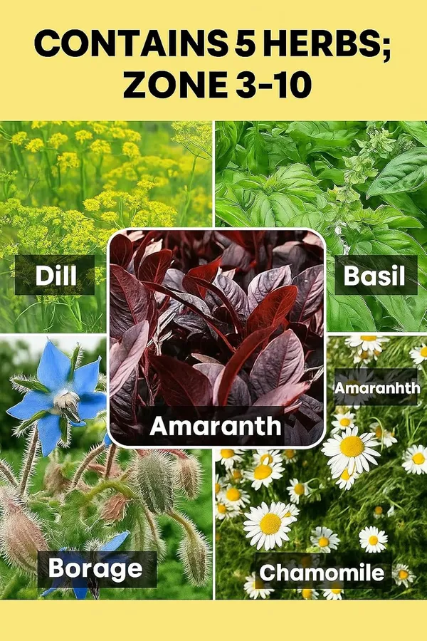 Herb_Seed_Mix_Pack