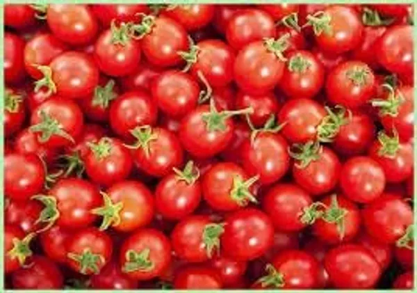 Tomato_Cherry_Vegetable_Seeds__Pack_Of_5