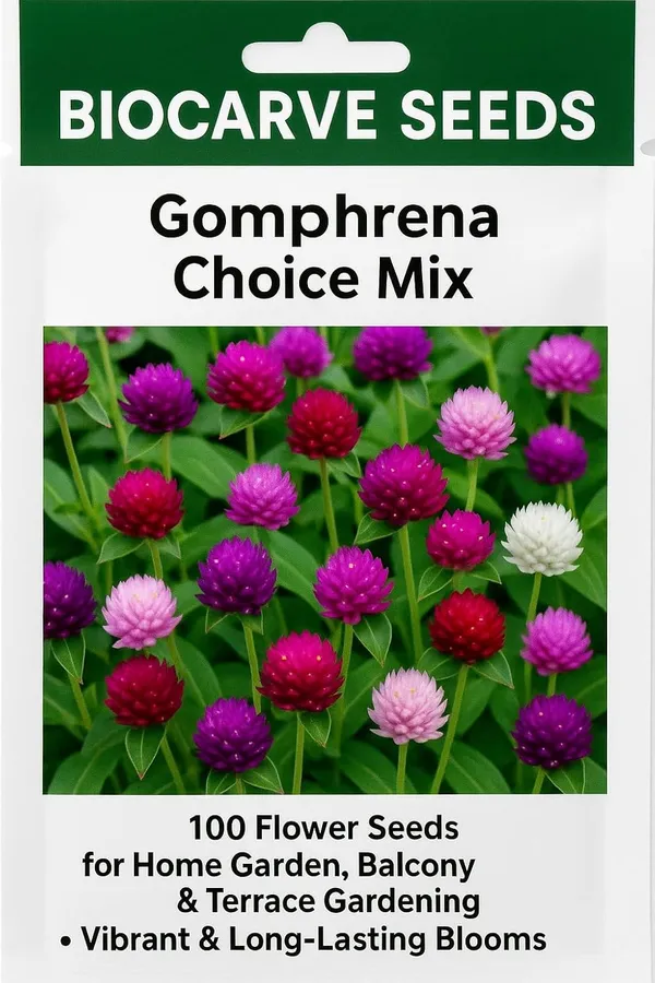 Gomphrena_Choice_Mix_Seeds__Pack_Of_4