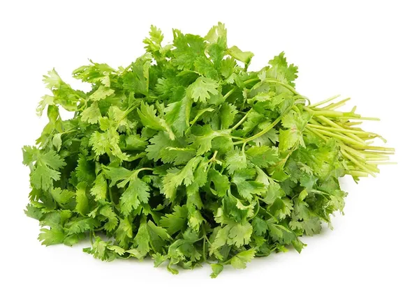 Coriander_Vegetable_Seeds_-_Pack_Of_5