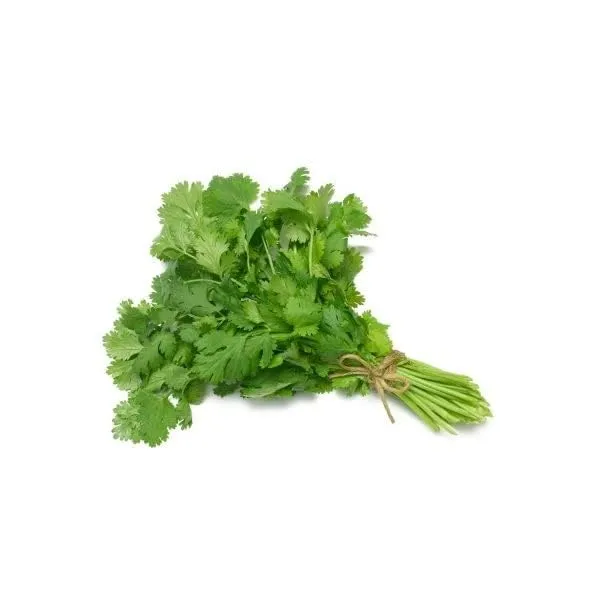 Coriander_Vegetable_Seeds_-_Pack_Of_5