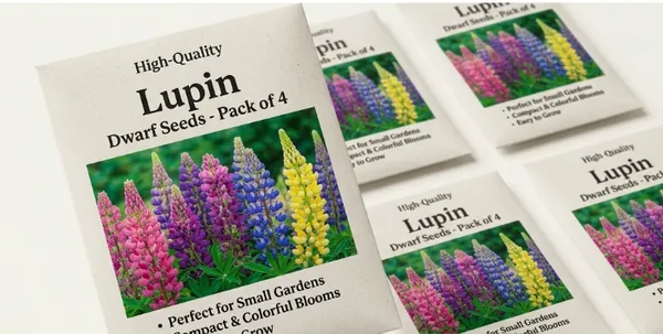 Lupin_Pixie_Delight_Mix_Seeds_-_Pack_Of_4