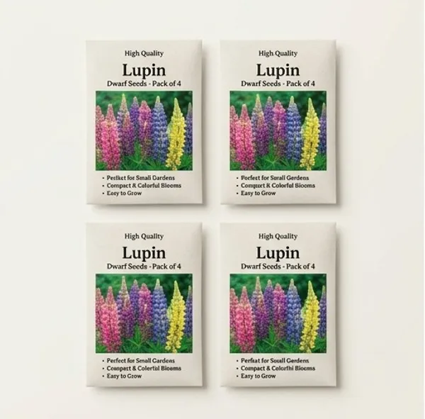 Lupin_Pixie_Delight_Mix_Seeds_-_Pack_Of_4