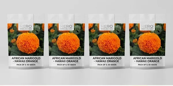 Pack_Of_4_African_Marigold_Flower_Seeds_