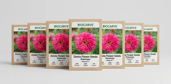 Pack_Of_7_Zinnia_Illumination_Deep_Rose_(Pink)_Flower_Seeds_Premium