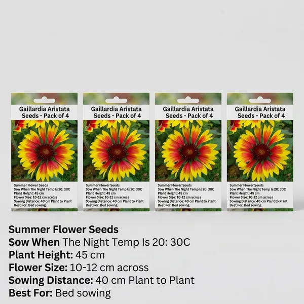 Gaillardia_Aristata_Seeds_-_Pack_Of_4