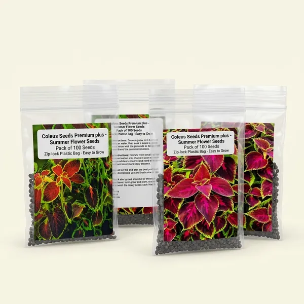 Coleus_Seeds_Premium_Plus_-_Pack_Of_4