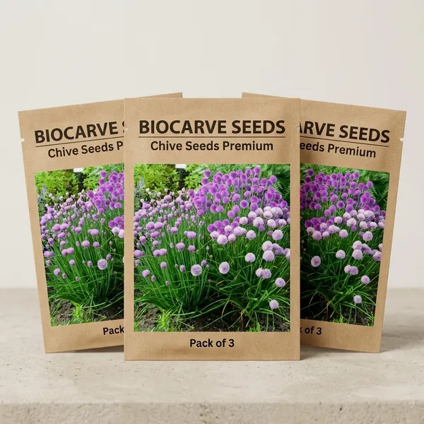 Chive_Seeds_Premium_-_Pack_Of_3