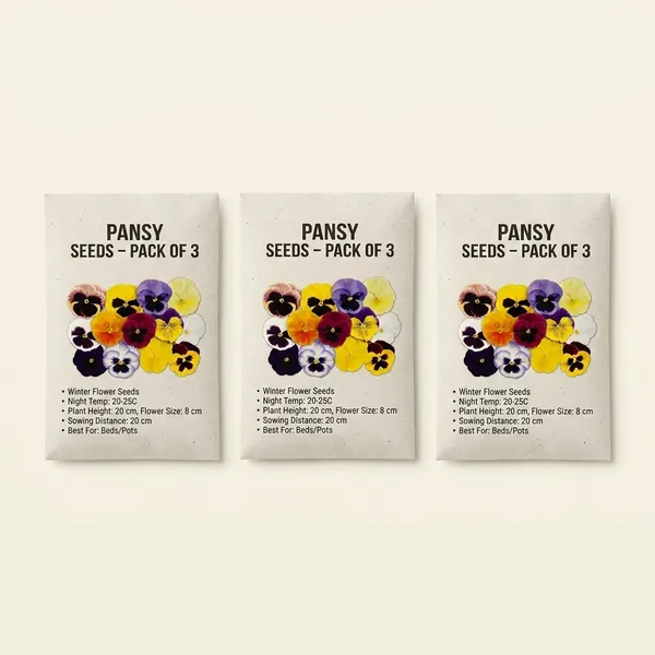 Pansy_Swiss_Giants_Mix__Seeds_-_Pack_Of_3