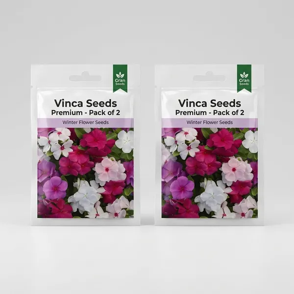 Vinca_Seeds_Premium_-_Pack_Of_2
