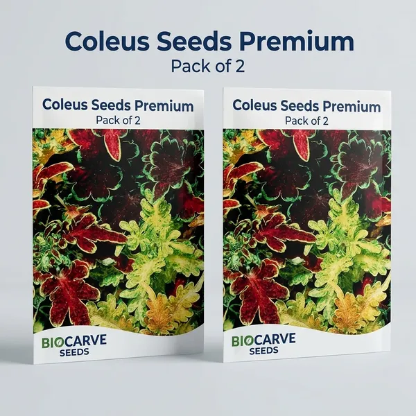 Coleus_Seeds_Premium_-_Pack_Of_2