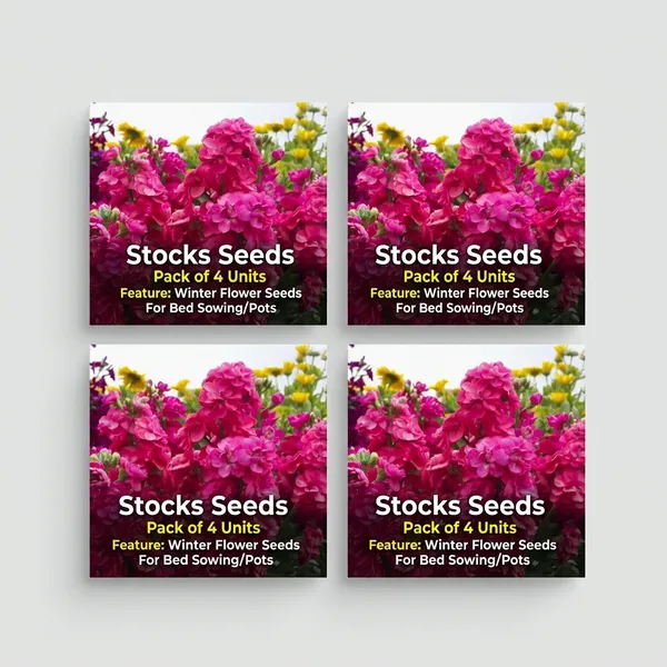 Stocks_Seeds_-_Pack_Of_4