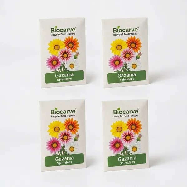 Gazania_Sunshine_Seeds__Pack_Of_4