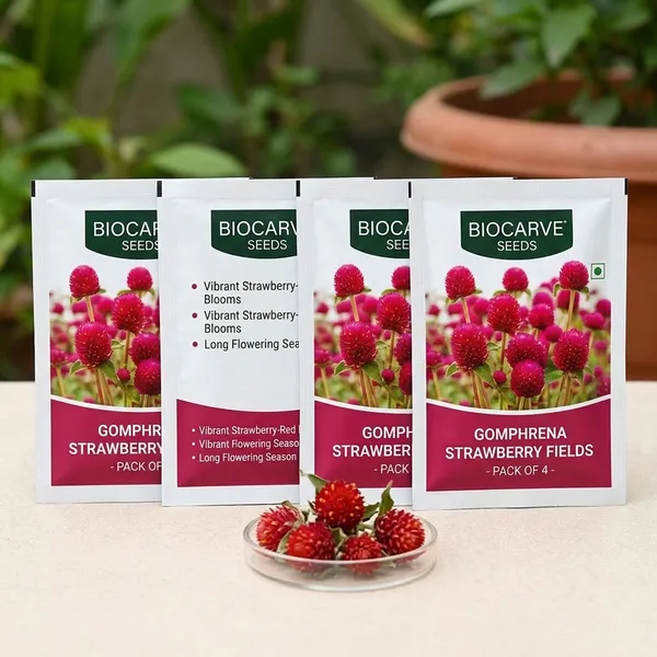 Gomphrena_Strawberry_Fields_Seeds_-_Pack_Of_4