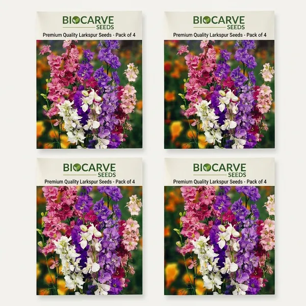Delphinium_Imperila_Mix_Larkspur_Seeds__Pack_Of_4