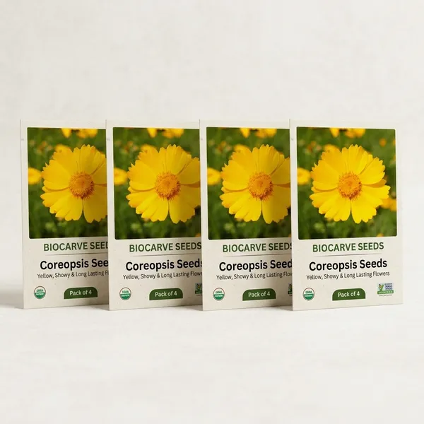 Pack_Of_4_Coreopsis_Seeds