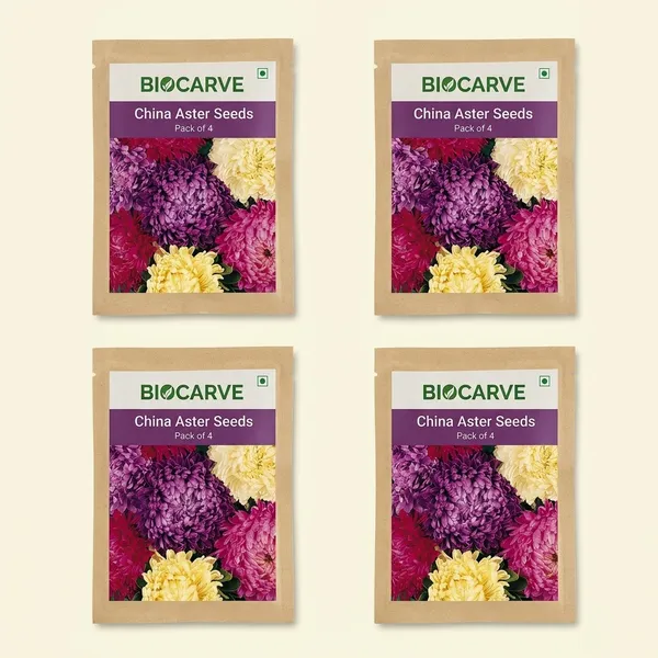Aster_Formula_Mix__Seeds_Pack_Of_4