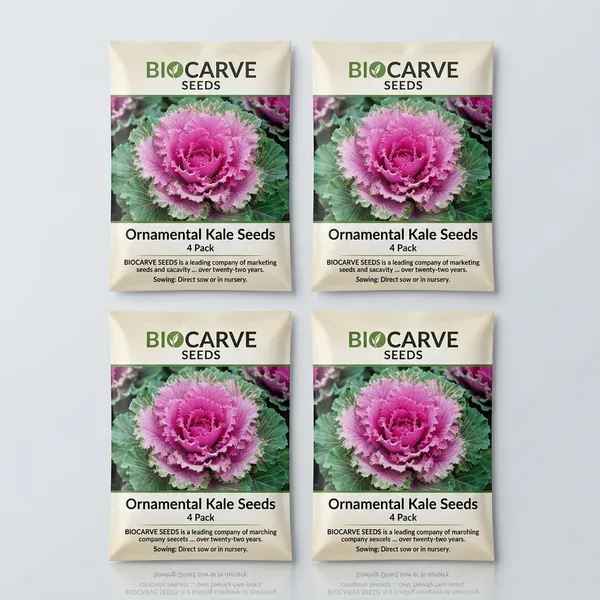 Ornamental_Kale_Seeds__Pack_Of_4