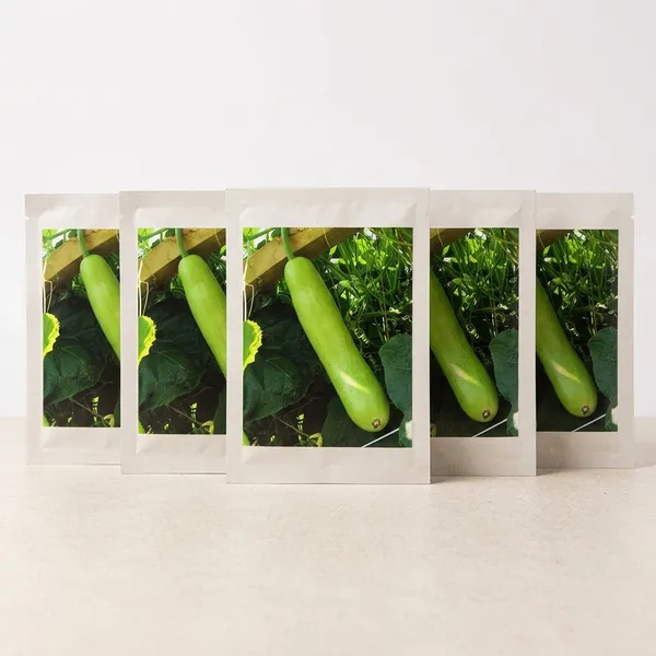 Bottle_Gourd_Seeds_-_Pack_Of_5