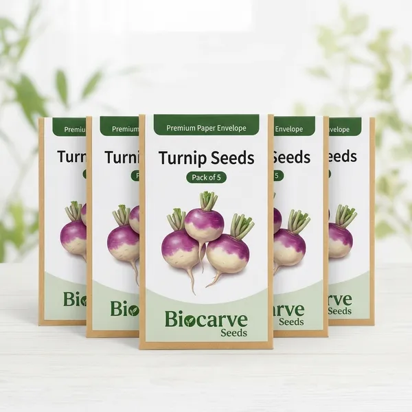 Turnip_Purple_Top_Vegetable_Seeds__Pack_Of_5