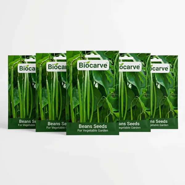 Beans_Seeds_For_Vegetable_Garden_-_Pack_Of_5
