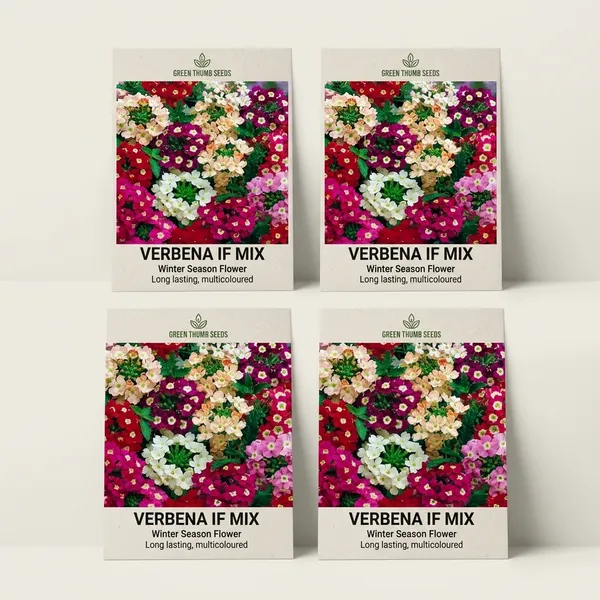 Verbena_I/F_Mix_Seeds__Pack_Of_4