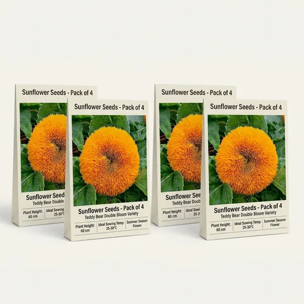 Sunflower__Teddybear_Seeds_-_Pack_Of_4