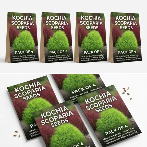 Kochia_Fire_Bush_Scoparia_Seeds_-_Pack_Of_4