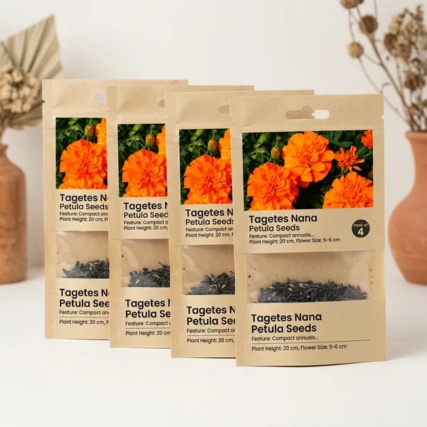 French_Marigold_Orange_Flower_Seeds__Pack_Of_4